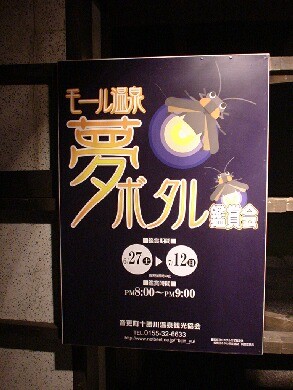 今年も夢ボタルに