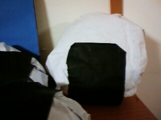 これ、な～んだ？