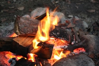 コニファーで秋キャンプ！