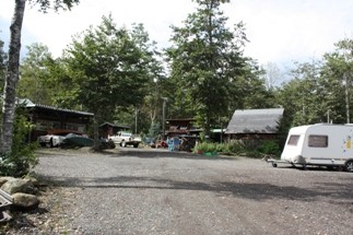 コニファーで心を奪われた！