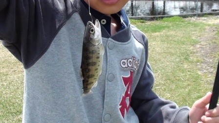 やまべ園で釣って、食べて、満足～