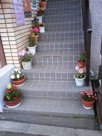 花の季節、マイマイの季節