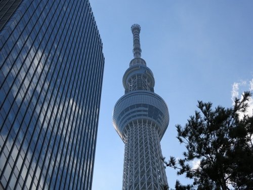 東京は暑かった。