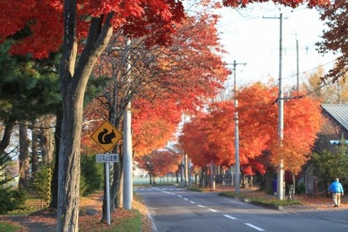 早朝の緑ヶ丘公園