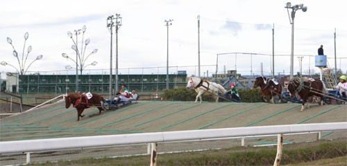 ばんえい十勝２０１１.４