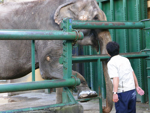 おびひろ動物園