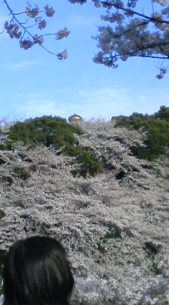 十勝屋に十勝を求めて