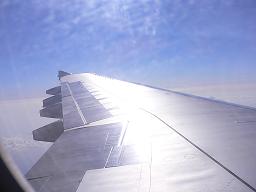 オレンジデーだが。。