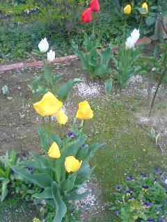 やっちまったpart２