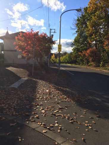 秋の通学路