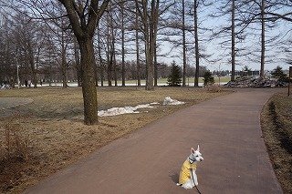 気持ち新たに~