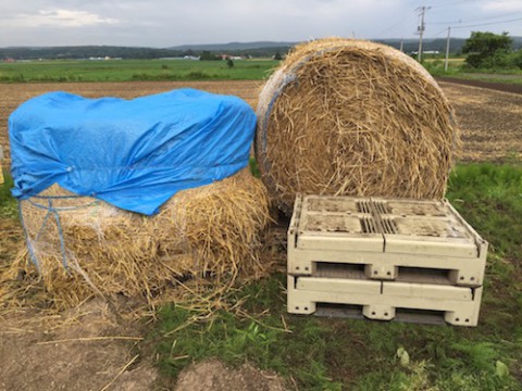 麦稈ロールの活用