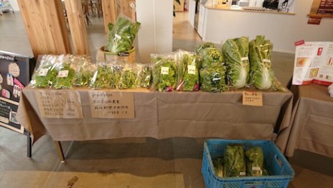 ガーデンスパ十勝川温泉に野菜出荷しています