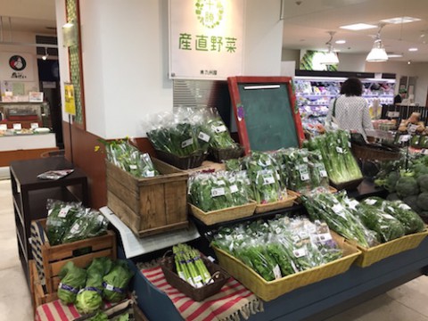 本日から藤丸テバートへ出店・・・新鮮野菜お召し上がり下さい