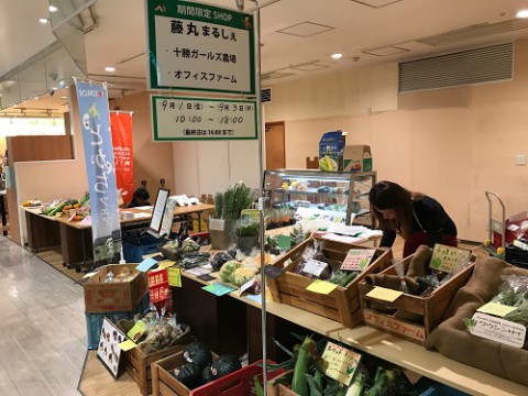 きょうからエスタで野菜直売やっています