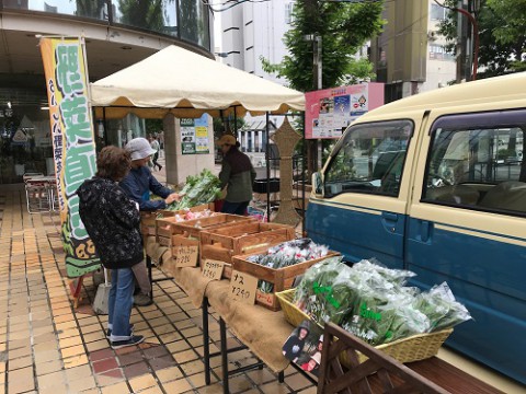 今年も藤丸デパート前で野菜とハーブの直売やっています