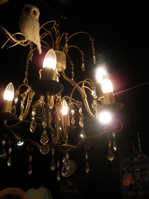 幸福をもたらす・・・ふくちゃん♪