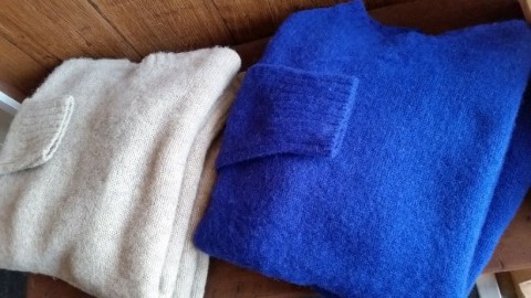 ニット男子はいかがでしょうか!?