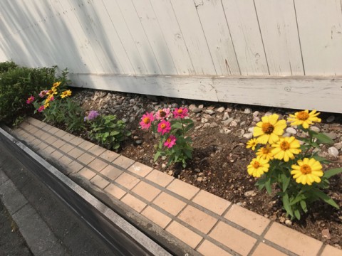 腕出していきましょう!!
