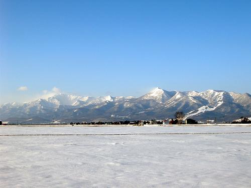 週末の富良野は、青空で天気が良くて