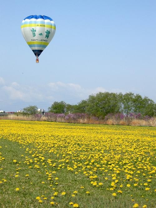 お花畑と熱気球