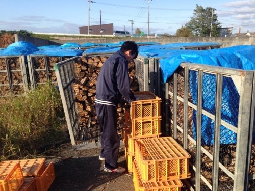 札幌市及び札幌周辺配達　2015年春用の乾燥薪を在庫しています　