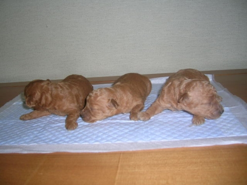 ♪うれしいこと。。♪