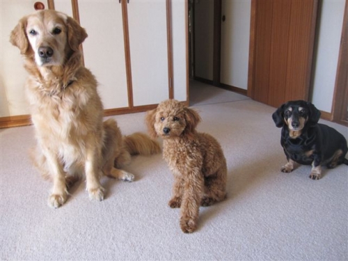 ♪写真。。。♪