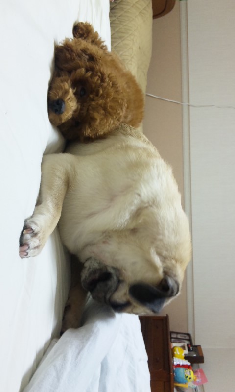 ♪お帰りなさい。。。♪