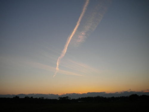 ♪夕方に。。。♪