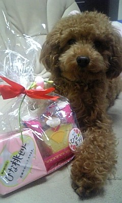 ♪田園にて。。。♪