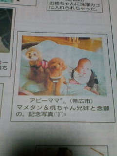 ♪寒中お見舞い申し上げます。。。♪