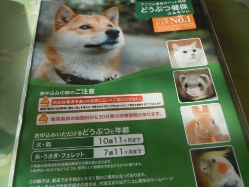 ♪いつまでも、いつまでも。。。♪