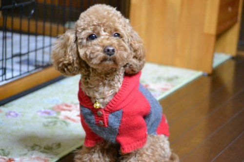 ♪不慣れと。。。♪