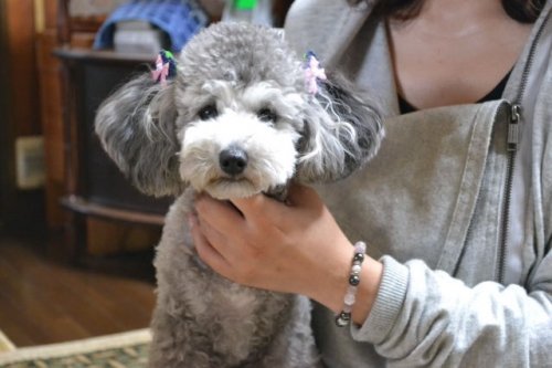 ♪ドレミファ。。。♪