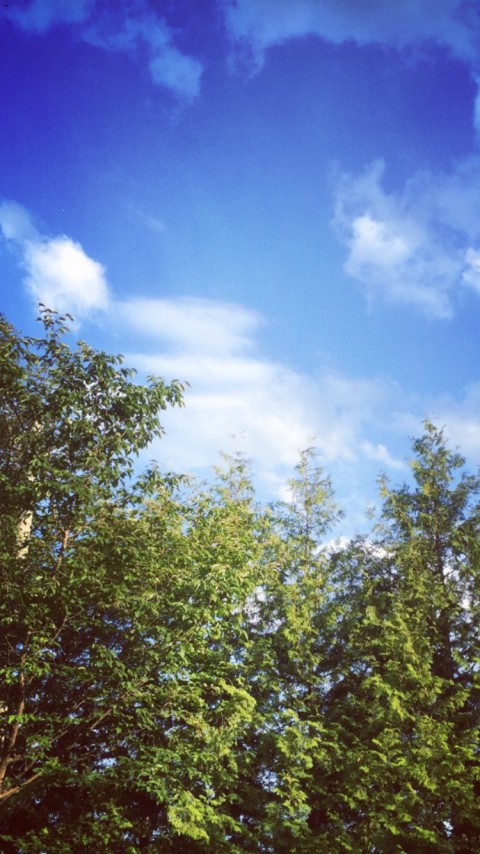 夏、もうすぐ来ますね。