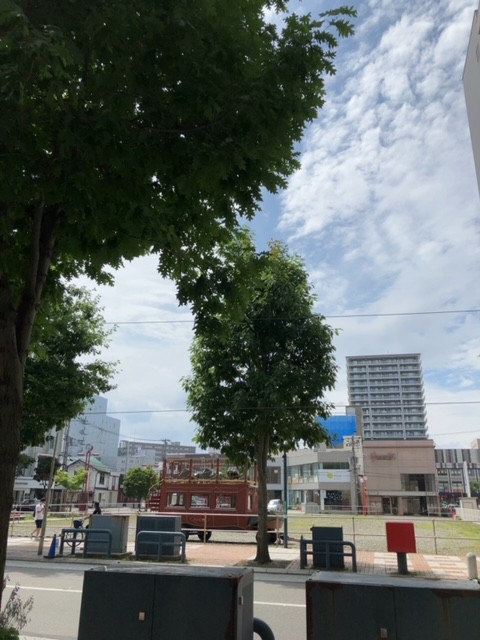 久しぶりの晴れ