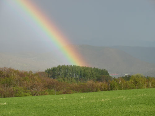 高原に立つ虹