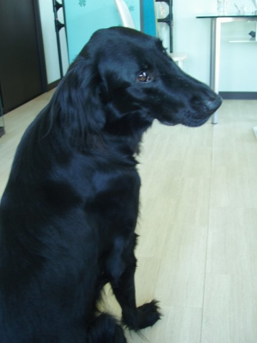 お前が犯人かぁ~!!