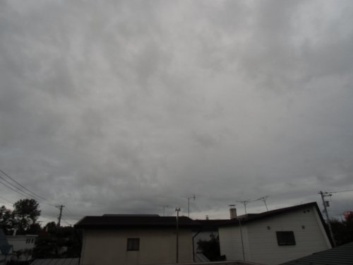 雨がボチボチと降ってきた