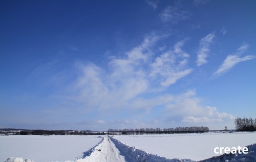 十勝晴れと雪原おまけはエゾシカ君