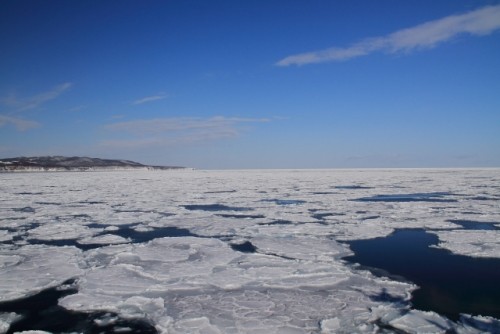 網走in 流氷