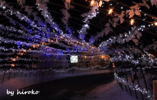 十勝川温泉の「彩凜華」を写してみました