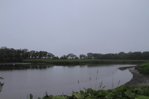 懐かしい田舎の風景