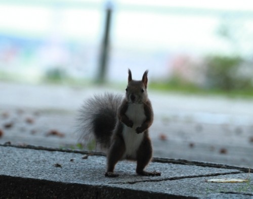 リーちゃんが迎えてくれましたぁ \(^o^)/