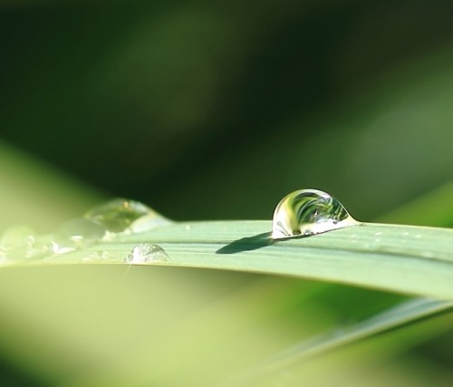 １０月１６日