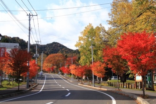 糠平温泉郷の紅葉と三国峠から～