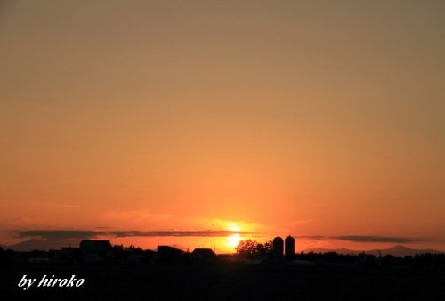 久しぶりの夕景と小麦畑