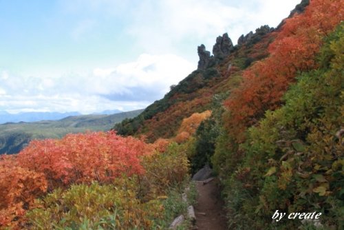 黒岳は9合目付近の紅葉