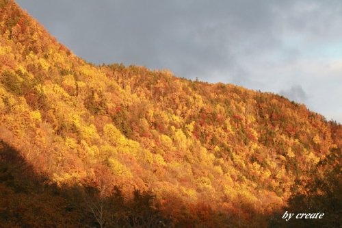 紅葉と黄葉の光と影